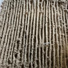 Norfolk Air Duct Cleaning 3